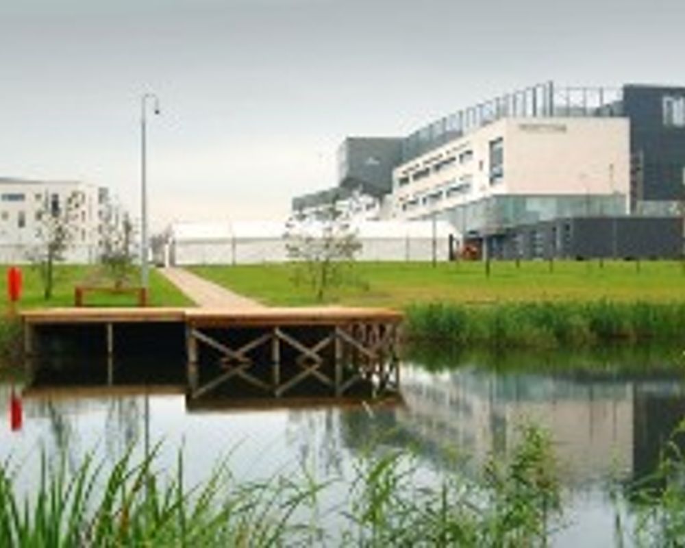 QMU Pond.jpg